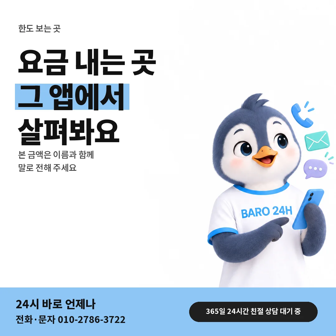 BARO 24H 티셔츠를 입은 3D 동물 캐릭터 옆에 「SK 가입한 곳에서 한도 보기」 제목을 얹은 안내 카드